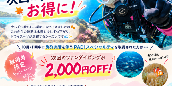 10月・11月限定キャンペーン✨